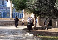 من اقتحام المسجد الأقصى اليوم