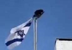 غراب يقوم بإنزال علم إسرائيل من على السارية