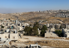 الاحتلال يجرف مشتلا شمال شرق القدس