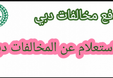 دفع المخالفات المرورية دبي