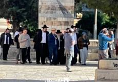 عشرات المستوطنين يقتحمون المسجد الأقصى‎‎‎‎ صباح اليوم