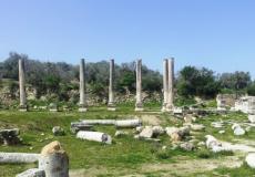 حديقة سبسطية الأثرية