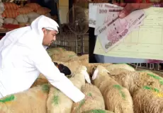 حكم الهدي على المتمتع والقارن في الحج - موسم الحج 2023