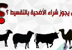 عيد الاضحى 2023 -هل يجوز شراء الاضحية بالتقسيط