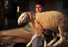 طريقة ذبح الأضحية في عيد الأضحى 2023