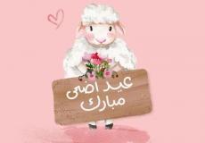 ما هي شروط الأضحية والمضحي – عيد الأضحى 2023