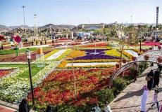 أكتشف الطائف