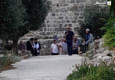 عشرات المستوطنين يقتحمون المسجد الأقصى