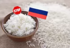 روسيا تحظر تصدير الأرز