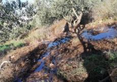 ضخ مياه عادمة في أراضي المواطنين