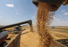 تركيا والأمم المتحدة تبحثان مع روسيا بشأن استئناف صفقة الحبوب