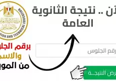 نتيجة الدور الثانى للثانوية العامة 2023 رقم الجلوس نتائج الثانوية العامة