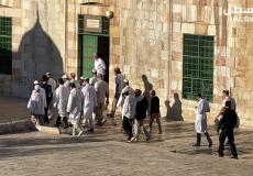 مستوطنون يقتحمون المسجد الأقصى اليوم