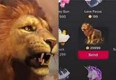 كم سعر الأسد في التيك توك - كم أسعار هدايا تيك توك
