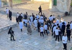 اقتحام المستوطنين للمسجد الأقصى