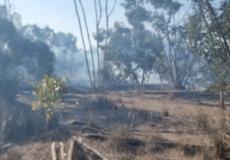 حريق في منطقة أحراش "بئيري" بغلاف غزة