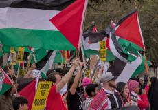 تظاهرات حاشدة في عواصم عربية وعالمية تنديدا باستمرار حرب غزة