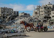 عربة كارو بالحصان مع أثار القصف والدمار في قطاع غزة