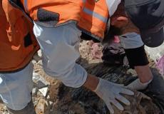 غزة - انتشال جثامين 409 شهداء من خانيونس ومجمع الشفاء