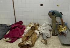 غزة - ارتفاع حصيلة الشهداء والجرحى