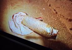 الشاباك- احباط عملية تفجيرية في قلب إسرائيل بتوجيه من حماس