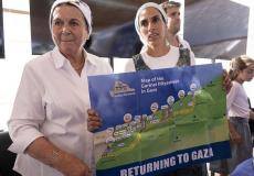 دانييلا فايس