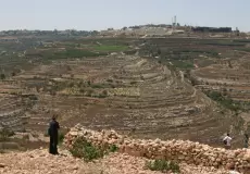 بلدة نحالين