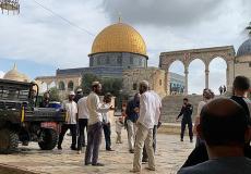 اقتحام المستوطنين للمسجد الأقصى.jpg