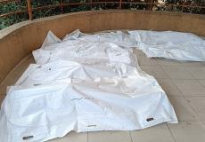 شهداء عائلة سمور