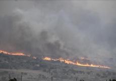 حريق في غابات القدس
