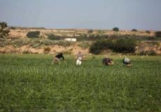 إصابة مُزارع جراء اعتداء جنود الاحتلال عليه جنوب بيت لحم - تعبيرية