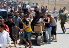 المساعدات الأمريكية.. غزة بين جوع قاتل ونار لا ترحم