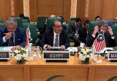 وزير الخارجية المصري بدر عبد العاطي