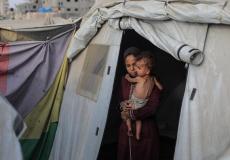 Weekly bulletin of the most important news from Gaza: August 10-16, 2025