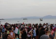 أسطول الصمود