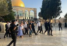 اقتحام المسجد الأقصى