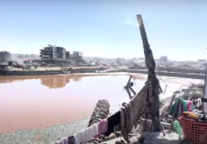 بركة الشيخ رضوان