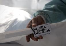 جثامين الشهداء