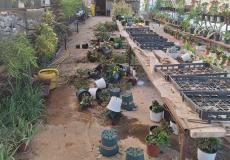 ستوطنون يهاجمون مشتلا ويتلفون محتوياته