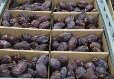 التمور الفلسطينية