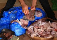 مباحث التموين في خان يونس تُتلف 2,500 كغم من المجمدات الفاسدة