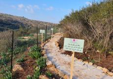 بنك فلسطين يقدم دعمه لإنشاء حديقة أم التوت البيئية في جنين بالشراكة مع مركز العمل التنموي "معاً" 