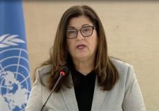 وزيرة الخارجية فارسين شاهين