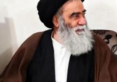 سبب وفاة هادي السيستاني – هادي السيستاني ويكيبيديا