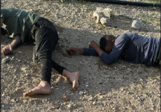 إصابة شابين في اعتداء للمستوطنين قرب الخان الأحمر جنوب أريحا