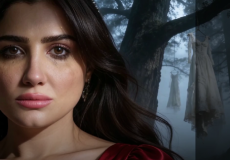 هل مسلسل الست موناليزا قصة حقيقية؟