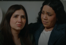 مشاهدة الحلقة الأخيرة من مسلسل الست موناليزا