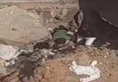 فيديو شبرا الخيمة كامل - من هي فتاة شبرا الخيمة التي ظهرت بالفيديو؟