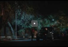 مشاهدة مسلسل الست موناليزا الحلقة 12 كاملة