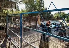 دعوات لإجلاء آلاف السكان في شمال إسرائيل